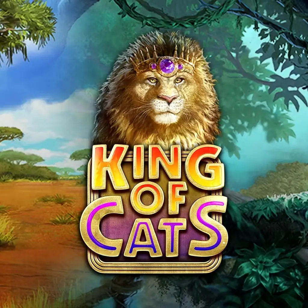 Бонусы King Of Cats - полное руководство по выгодным предложениям Бонусы King Of Cats - полное руководство по выгодным предложениям